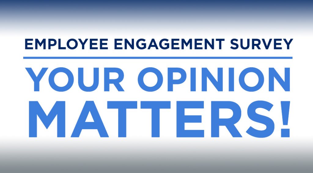 Employee Engagement Surveys