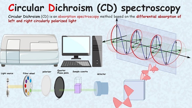 Global Circular Dichroism (CD) Spectrometer Market