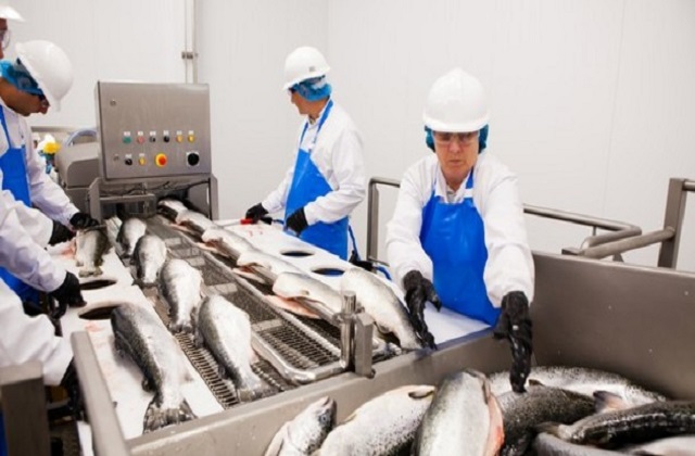 Global Seafood Manufacturing Market