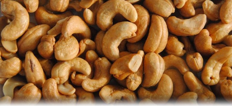 Extensive Growth In Landscape Of Vietnam Cashew Market Outlook: Ken Research Extensive Growth In Landscape Of Vietnam Cashew Market Outlook: Ken Research