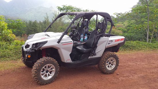 Global ATV & SSV Market