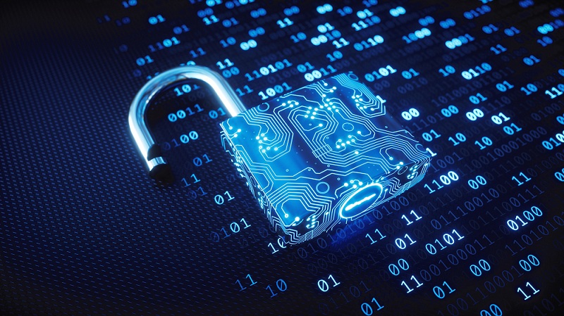 Cyber Security Market Research Reports
