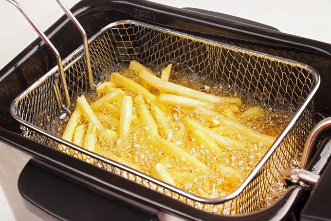 Global Potato Fryers Market