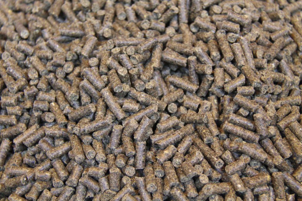 Global Feed Market