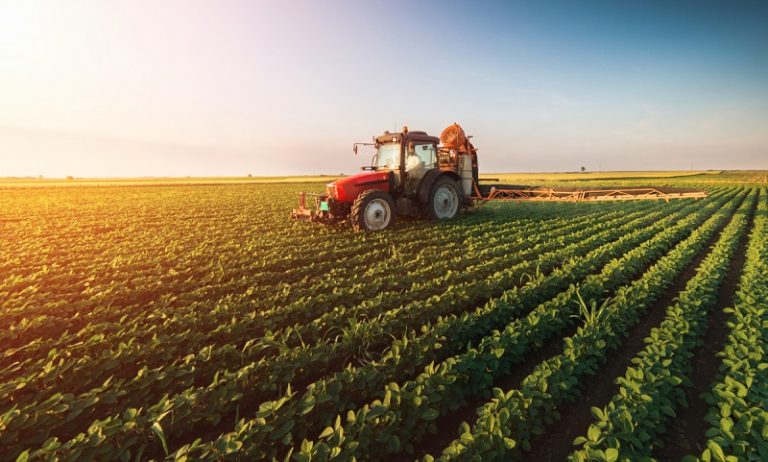 Croatia Agriculture Market