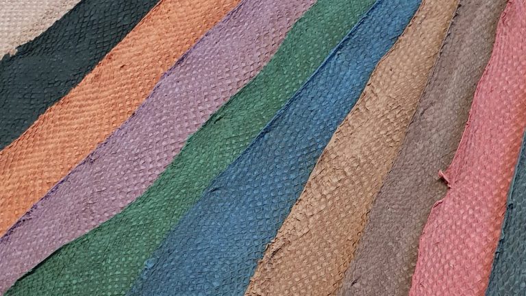 Global Fish Leather Market