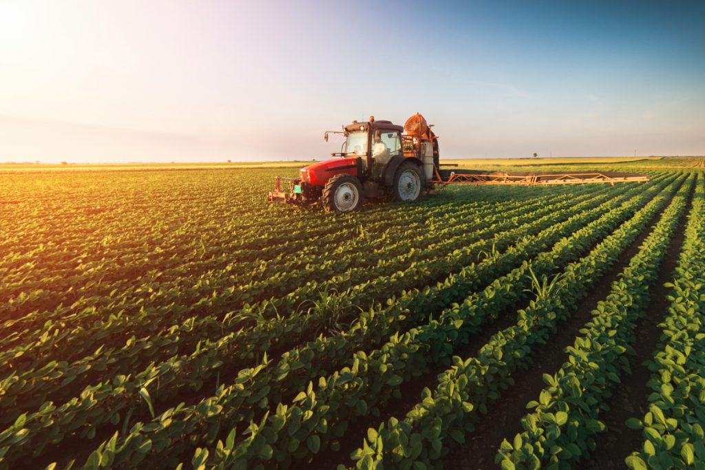 Egypt Agriculture Market
