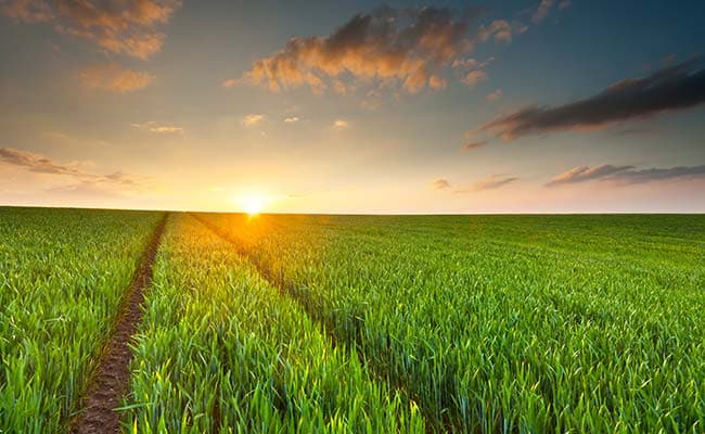 France Agriculture Market
