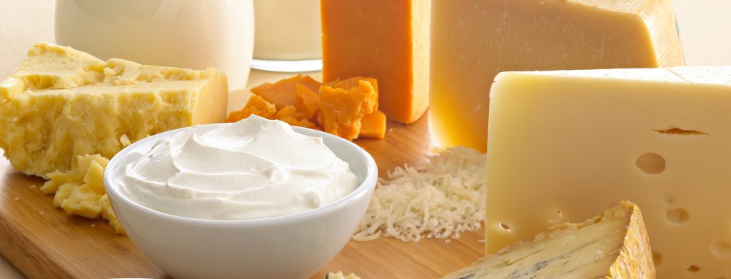 Global Dairy Ingredients Market