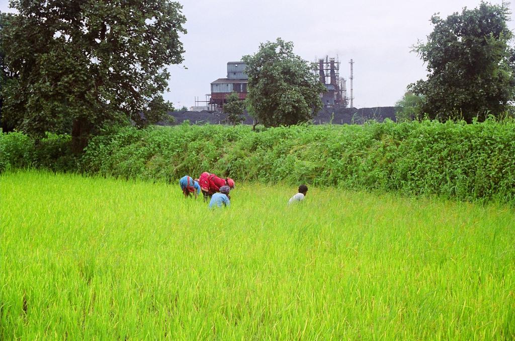 Myanmar Agriculture Market