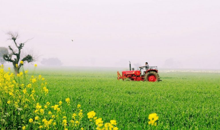 Growing Landscape Of New Zealand Agriculture Market Outlook: Ken Research Growing Landscape Of New Zealand Agriculture Market Outlook: Ken Research