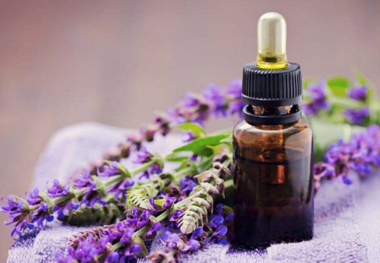 Growth In Trends Of Global Clary Sage Essential Oil Market Outlook: Ken Research Growth In Trends Of Global Clary Sage Essential Oil Market Outlook: Ken Research