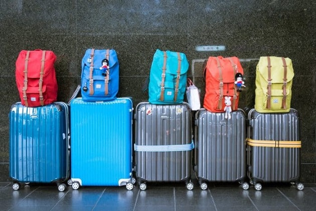 Luggage and Bags Industry Research Report, Luggage and Bags Market Segmentation: Ken Research