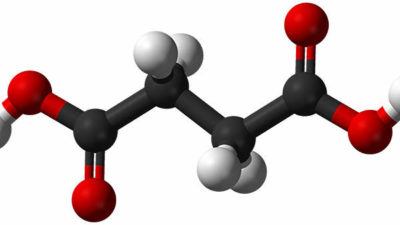 Global Succinic Acid Market Growth