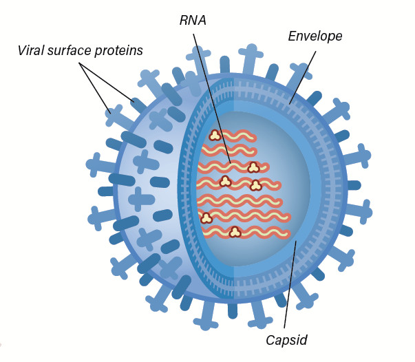 Global Anti-Viral Coatings Market