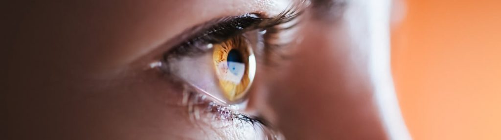 Global Eye Socket Implant Market