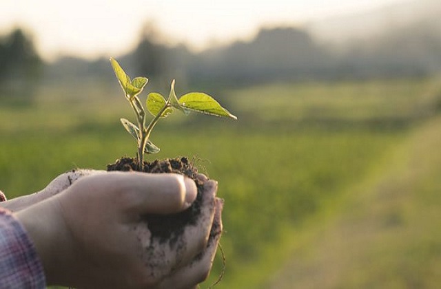 Asia Pacific Biopesticides Market Research Report: Ken Research