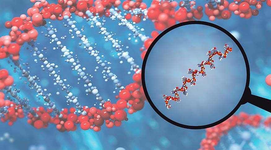Rising Number of Clinical Trials for the Development of Novel Therapeutics Driving Global MicroRNA (miRNAs) Market Outlook: Ken Research