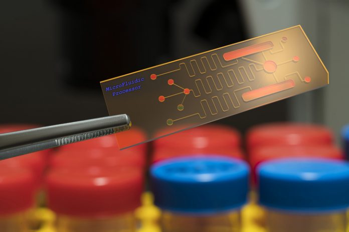 Global Biochip Market