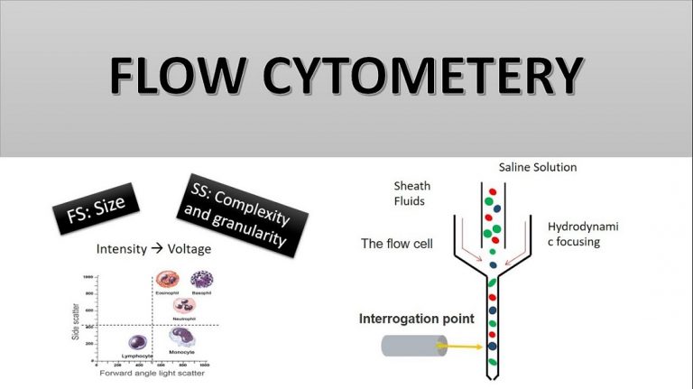 Global Flow Cytometry Market
