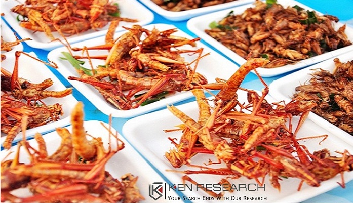 Insect Alternative Protein Market