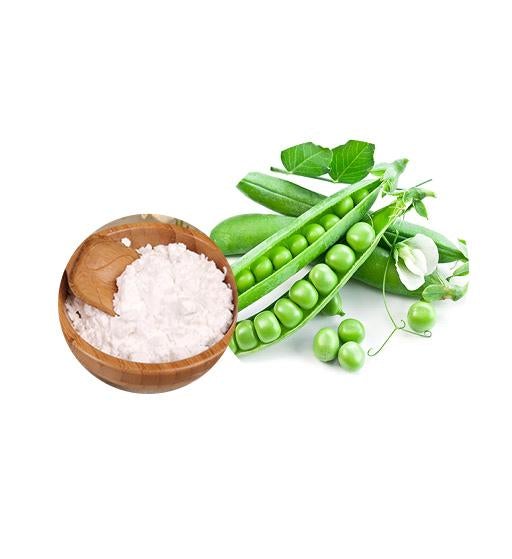 Global Pea Starch Market Outlook