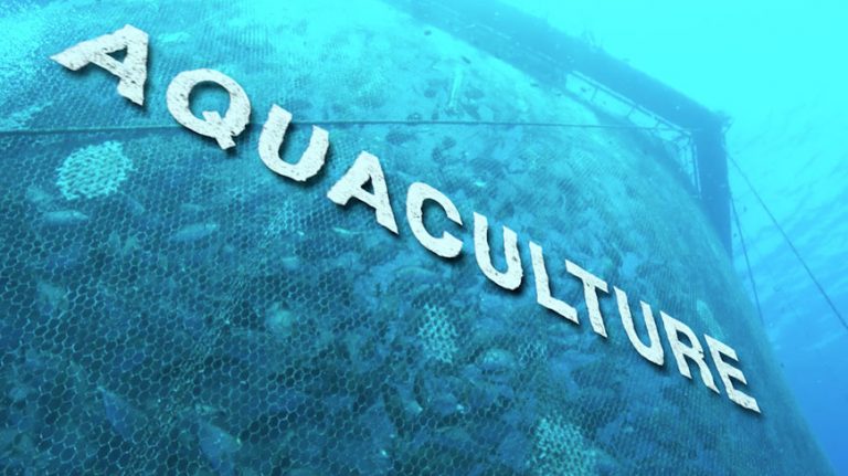 Asia Pacific Aquaculture Market