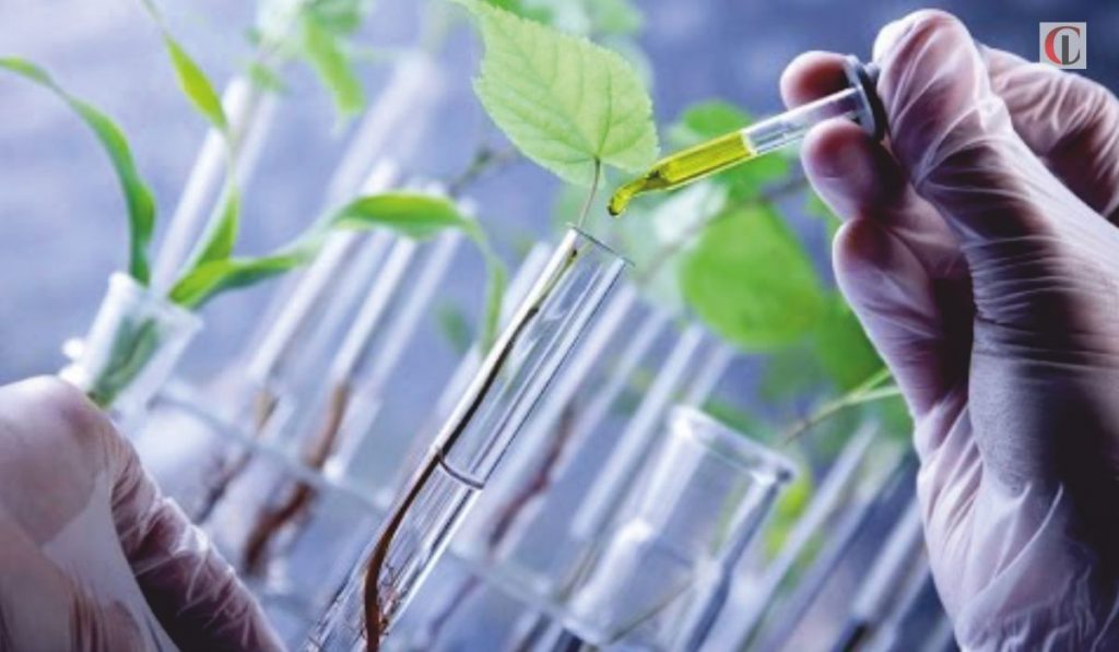 Biotechnology Agriculture