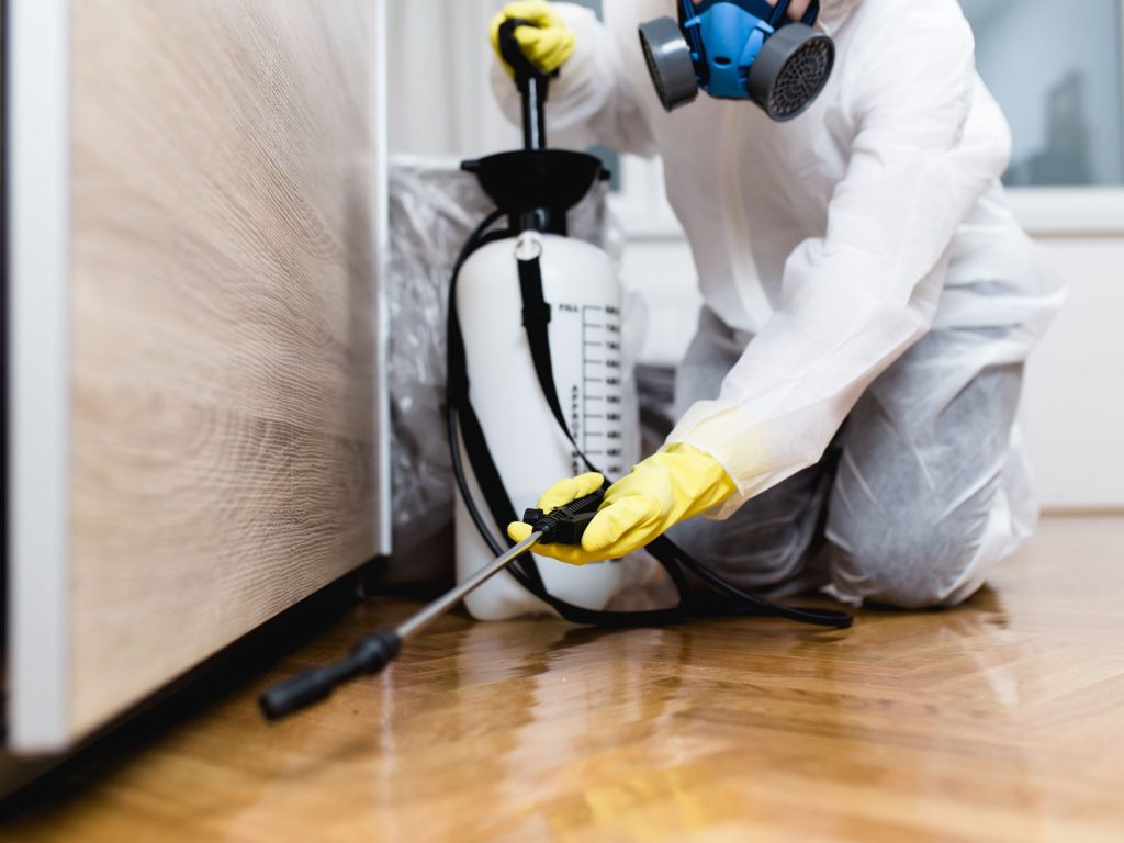Europe Pest Control Services