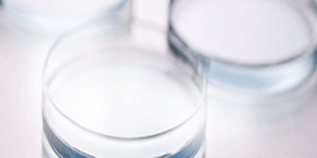 Global Vinyl Hexanoate Cas 3050-69-9 Market