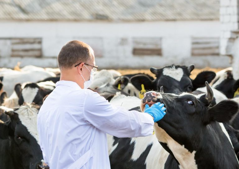 Indonesia Animal Health Market Research Report: Ken Research Indonesia Animal Health Market Research Report: Ken Research
