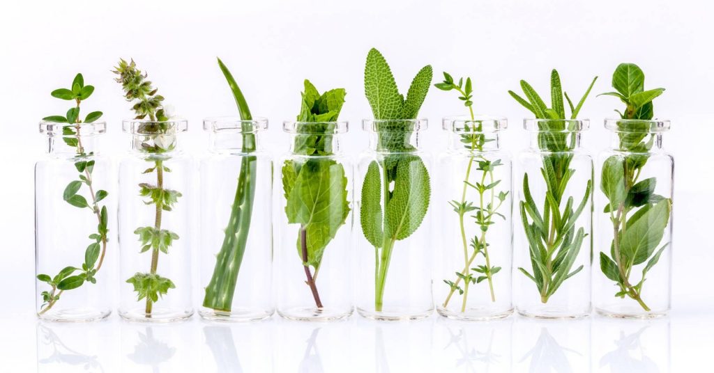 Global Feed Phytogenic Market End User