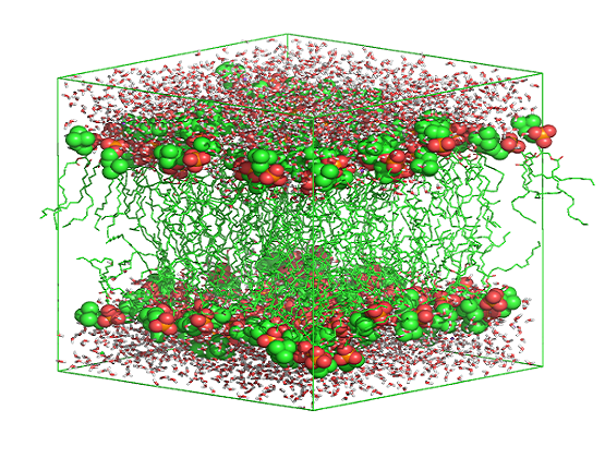 Microbiology Electropermeabilization Technology Market