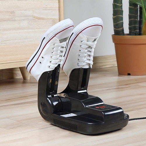 Global Shoes Dryer Market