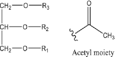 Global Lactate Esters Market