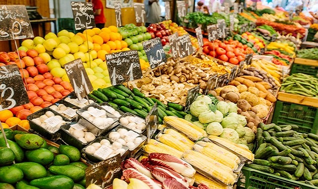 Saudi Arabia Agriculture Industry