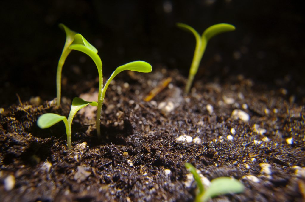 Global Agricultural Microbials Market