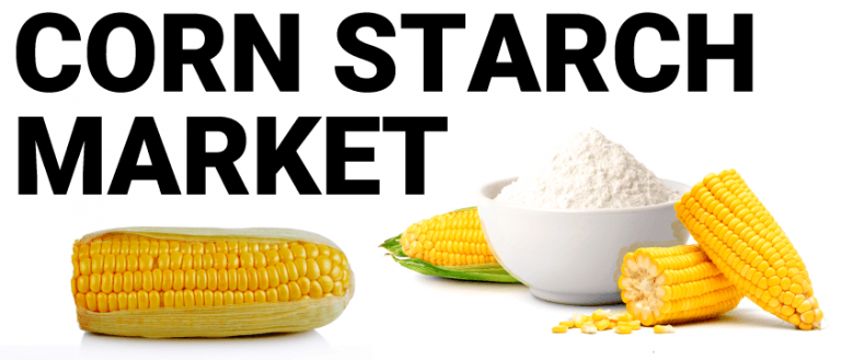 Global Corn Starch Market