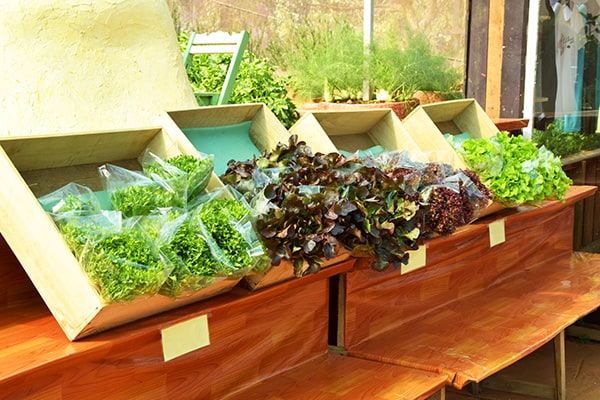 Global Agricultural Packaging Market