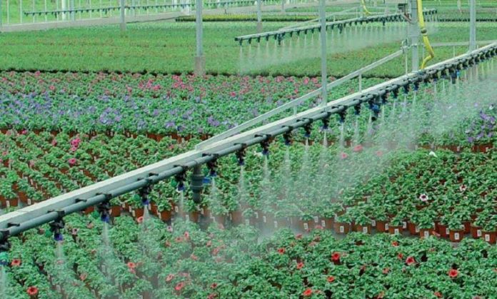 Global Greenhouse Irrigation System Market