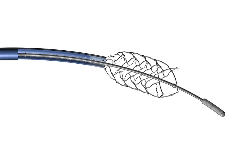 Global-Neurovascular-Devices-Support-Devices-Market