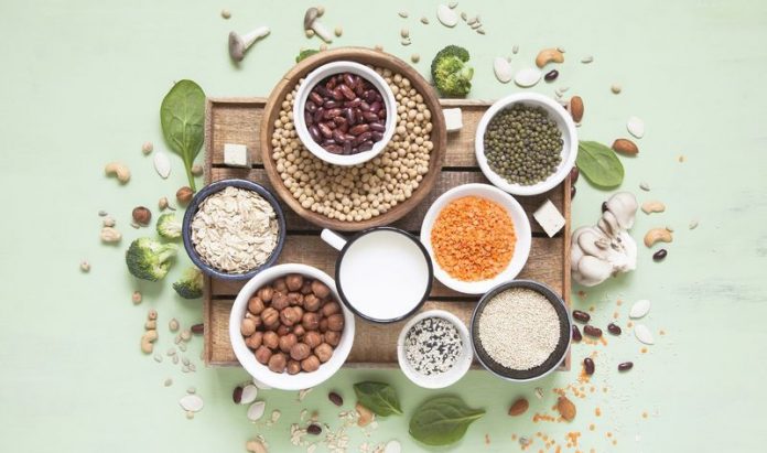 Global Plant-based protein Market