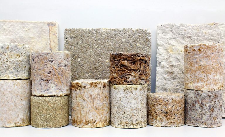 North America Biocomposites Market, Size and Growth, Market Outlook and Forecast by Revenue (2017-2027): Ken Research North America Biocomposites Market, Size and Growth, Market Outlook and Forecast by Revenue (2017-2027): Ken Research