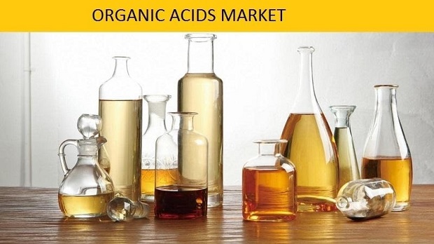 Global Organic Acids Market