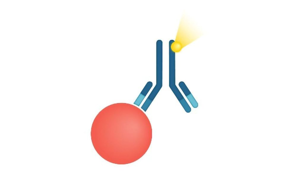 Insights On Immunoassay Market Outlook