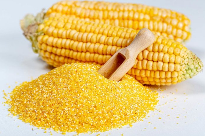 Global Precooked Corn Flour Market