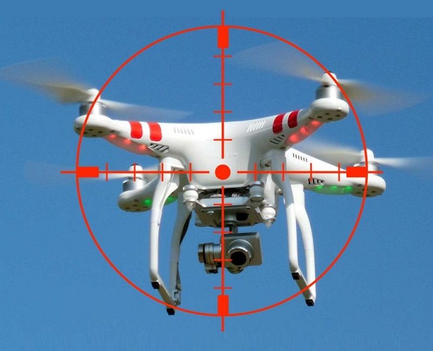 Global Anti-Drone System Industry