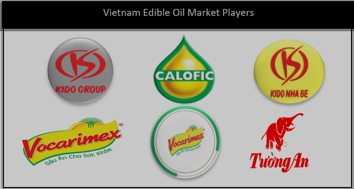 Thị trường dược phẩm điện tử Việt Nam