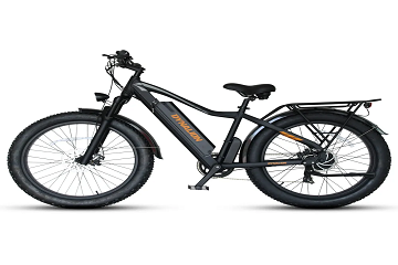 Global Electric Bike Market