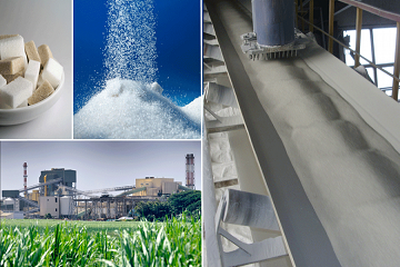 Sugar Industry